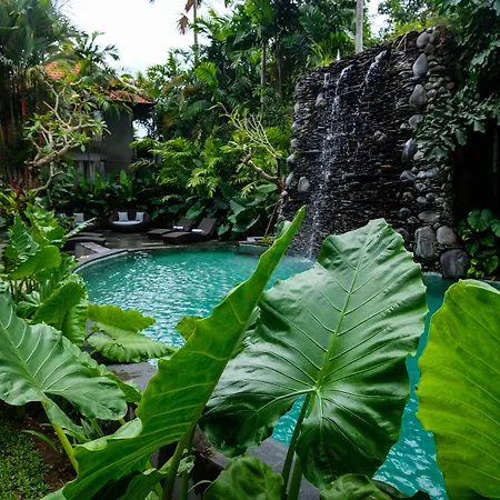 Japa Suites & Villas-2