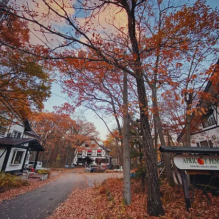 Apricot Pension-2