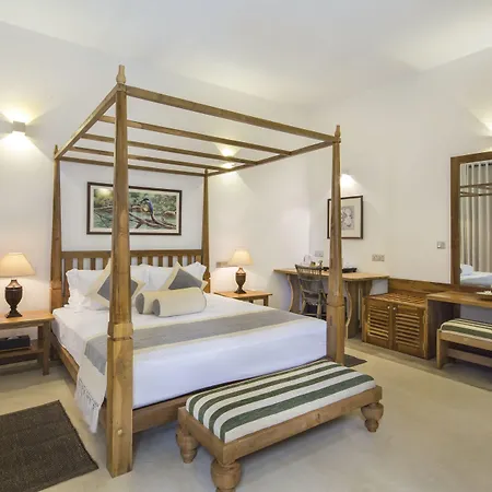 Bilin Tree House-3