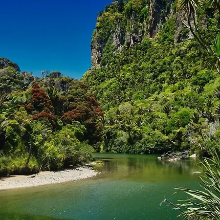 Punakaiki Beach Camp-3