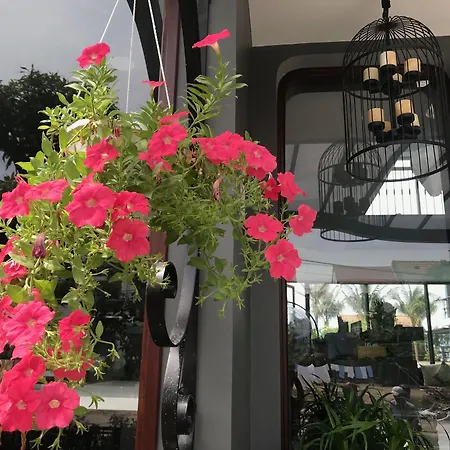 Sea Lavie Boutique Resort & Spa-3