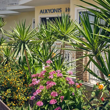 Alkyonis Hotel-3