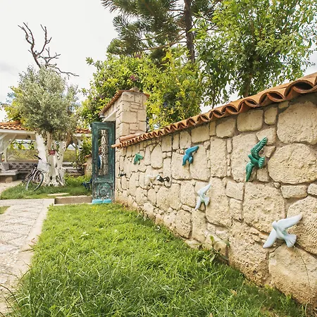 Aişem By Hire-3