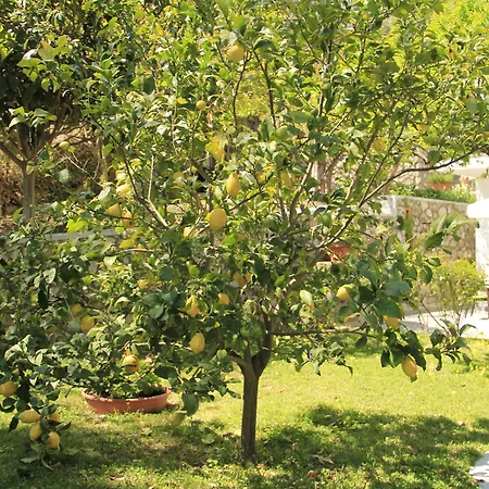 Casa Augusto B&B-2