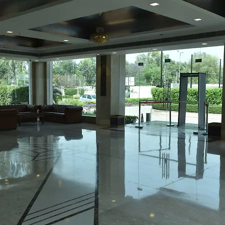 Udman Luxe-3