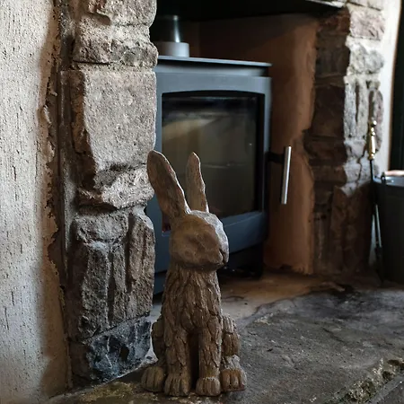 The Congresbury Arms-2