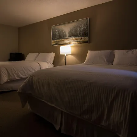 Northwood Plaza Hotel-3