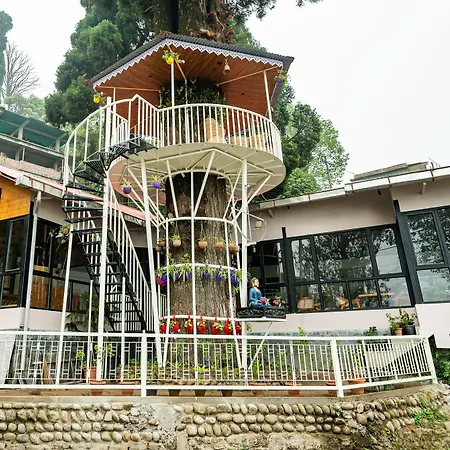 Arcadia Heritage Resort-2