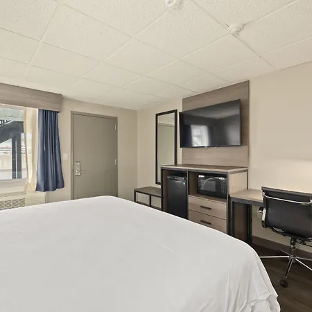 The Elmwood-2