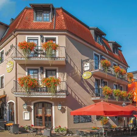 Hotel Restaurant Zum Schwan-2