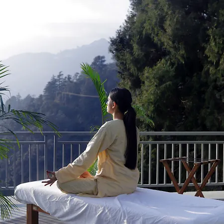 Yog Wellness Resort & Spa By Amritara-3
