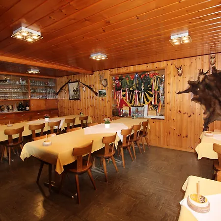 Hotel-Restaurant Alpina-2