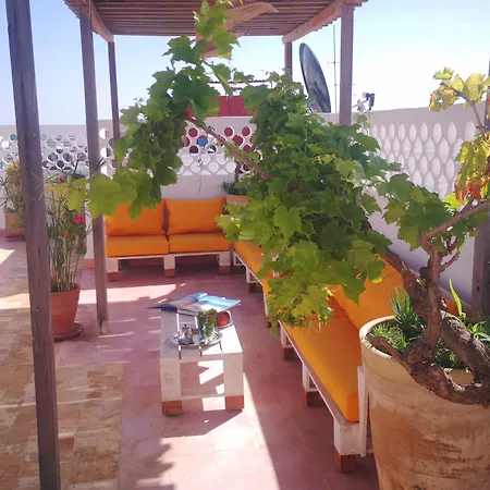 Riad Louane-3
