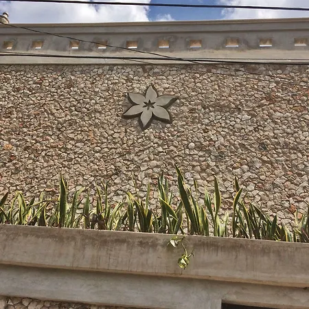 La Flor Casa Boutique-3