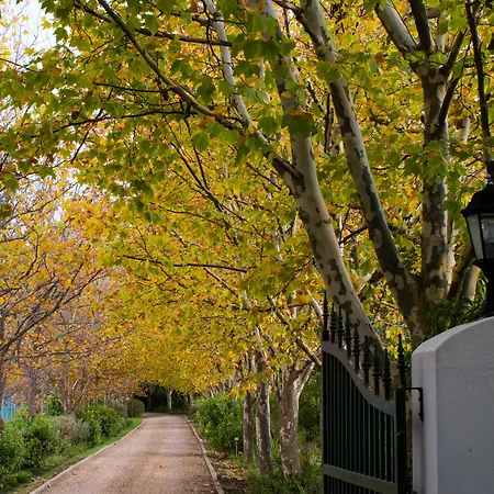 Sanddrif Stellenbosch Guest Farm-3