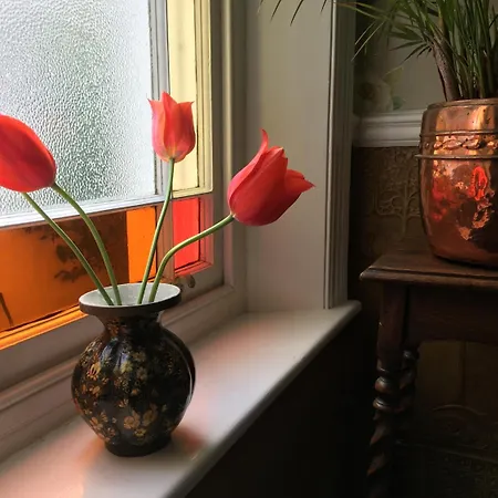 Anne'S House-2