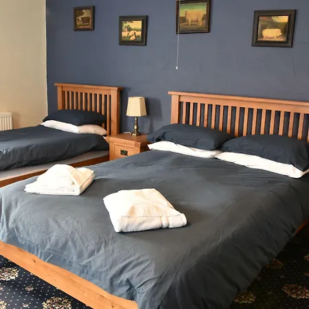 Dinorben Arms Hotel-2