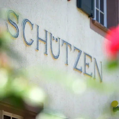 Hotel Gasthaus Schuetzen-3