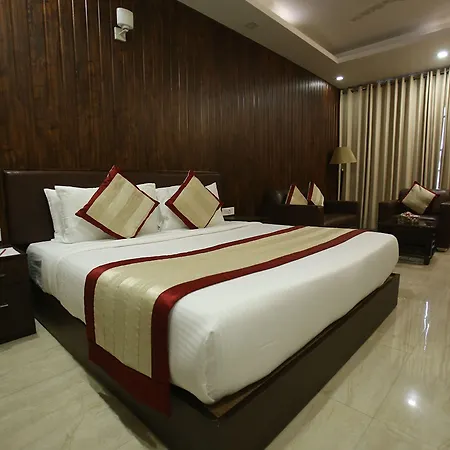 Gold Stone Comfort-2