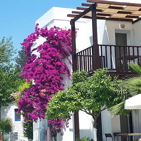 Meis Hotel-3