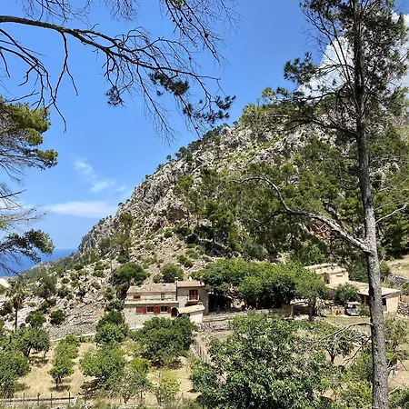 Finca Ses Fontanelles-2