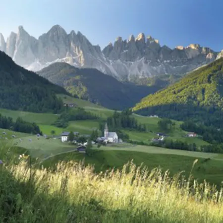 Alpin Stile Hotel-2