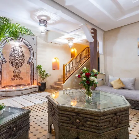 Riad Elite-3