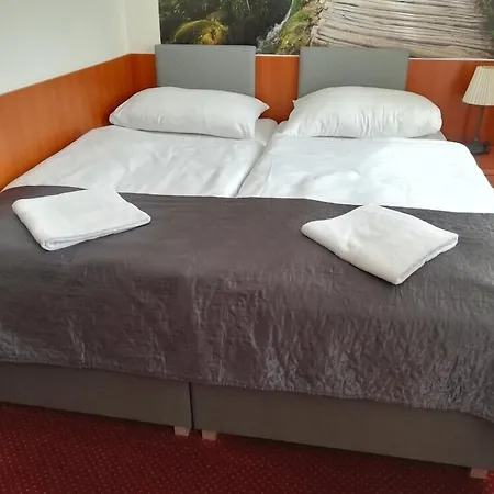 Hotel Zlata Vaha-2