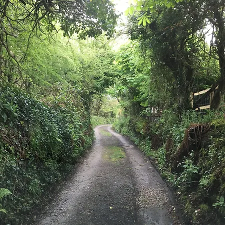 Higher Trenear Farm B&B-2