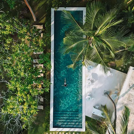 Kurulu Bay-3