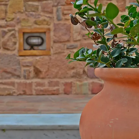 Mastiha Villas In Town-3