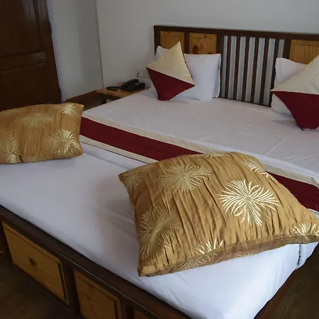 Altius Nest Hotel-2