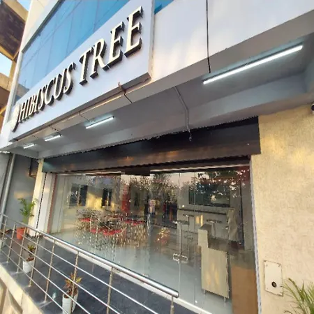 Hotel Hibiscus Tree- Bachupally-2