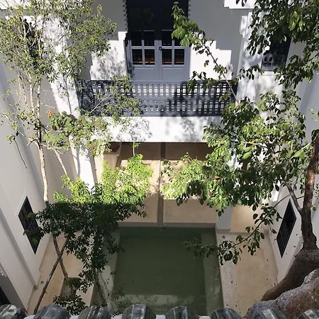 Ambre & Epices Jungle Hotel & Spa-3