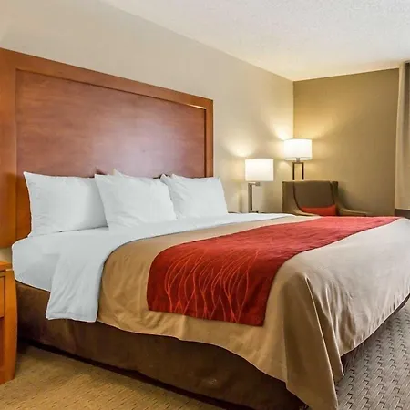 Comfort Inn Valentine-3