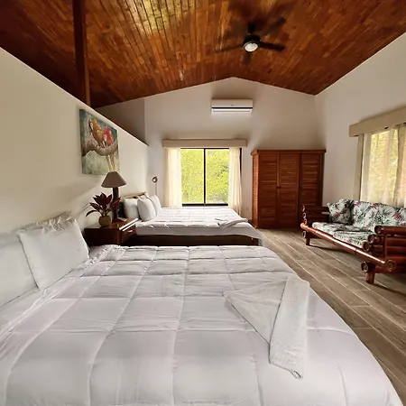 Blue Banyan Inn-3