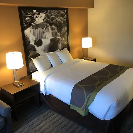 Super 8 By Wyndham Lynnwood-3