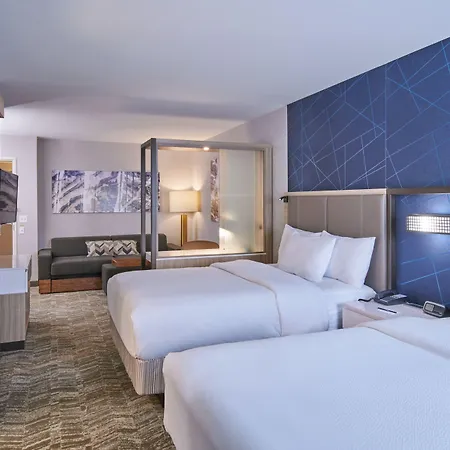 Springhill Suites By Marriott Detroit Dearborn-3
