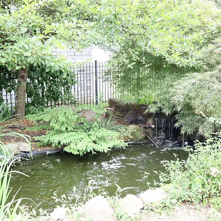 Vaast Bed & Breakfast-3