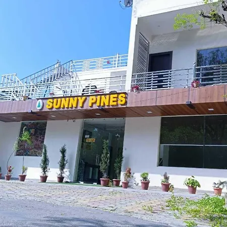 Sunny Pines Resort-3