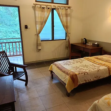 Sepilok B&B-3