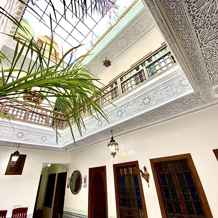 Riad Nouhal-3