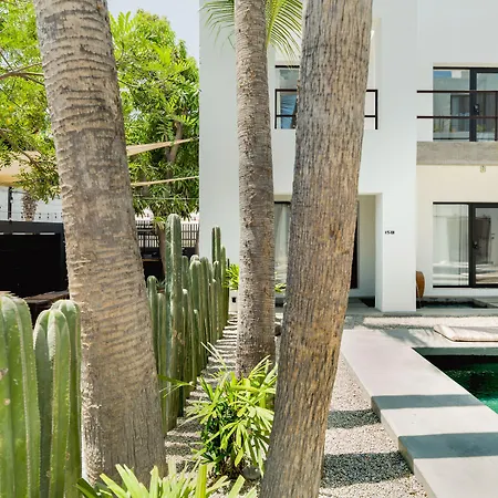 Drift San Jose Del Cabo, A Member Of Design Hotels-3