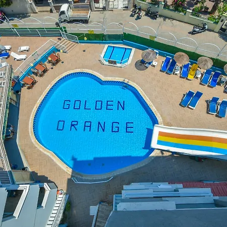 Golden Orange Apart-2