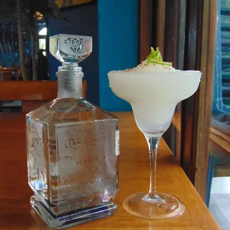 Hotel Pez Vela-3