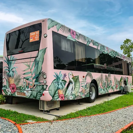 The Bus Collective-3