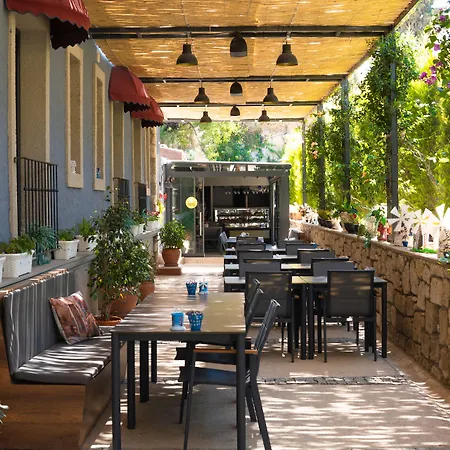 Cati Hotel Boutique Plus-3