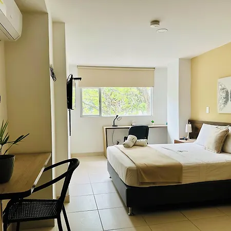 Laureles Grand House Lgh Hotel - Anteriormente Laureles Guest House-3