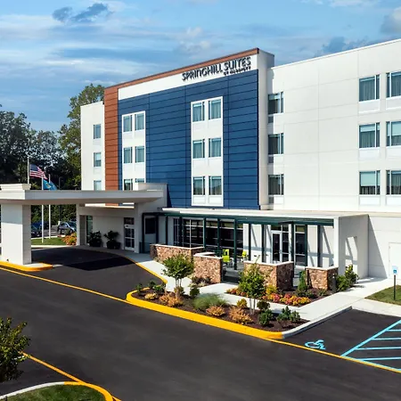 Springhill Suites By Marriott Frederica-3