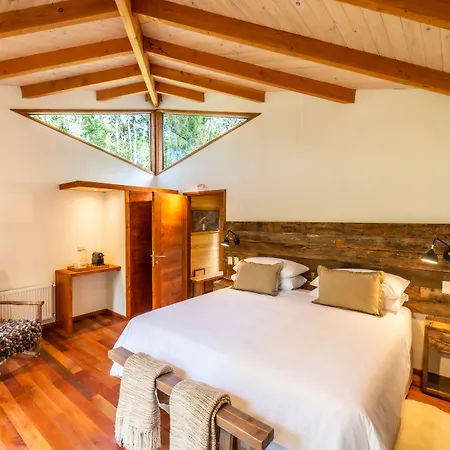 Rakau Lodge-2